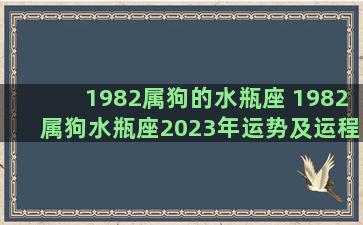 1982属狗的水瓶座 1982属狗水瓶座2023年运势及运程平安符